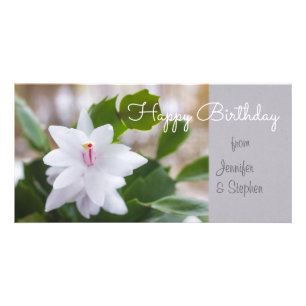 Birthdays Flowering white cactus Schlumbergera Card