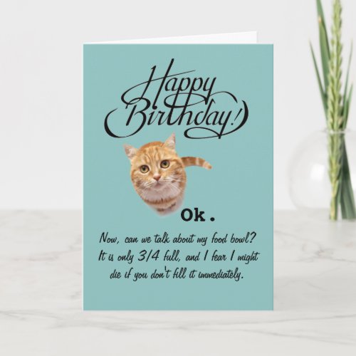 Birthdays From a Cats Perspective Birthday Card Card