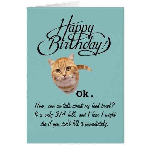 Birthdays From a Cat's Perspective (Birthday Card) Card | Zazzle