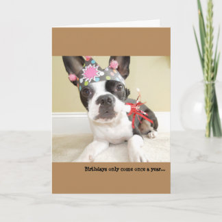 Birthdays only come once a year... Lola B. Boston Card