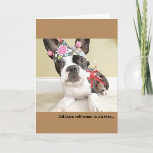 Birthdays only eat once a year Lola B Boston Card