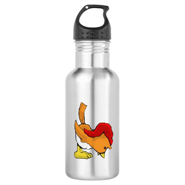 Birzy Stainless Steel Water Bottle (Front)