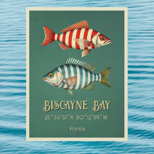 Biscayne Bay Florida fish Postcard