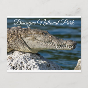 Biscayne Bay Park Miami Beach Florida Postcard