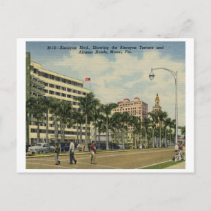 Biscayne Blvd. Hotels, Miami, Florida Vintage Postcard