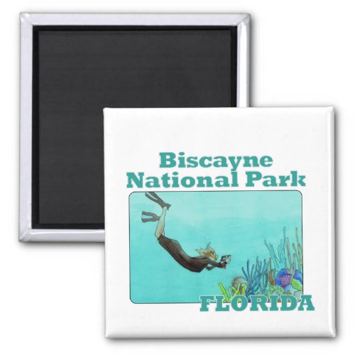 biscayne national park florida magnet