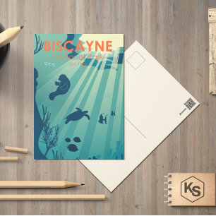 Biscayne National Park Florida Underwater Maritime Postcard
