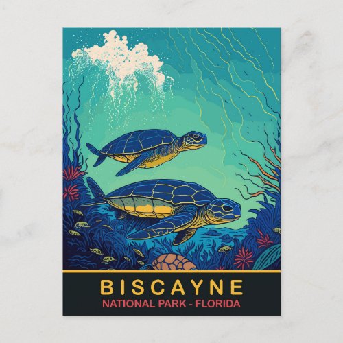 Biscayne Turtles Underwater Floraida Travel Postcard