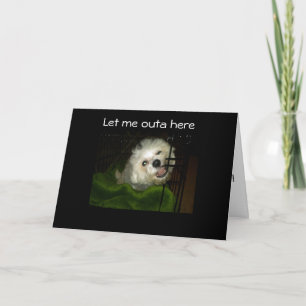 BISCHON BREAK OUT-BIRTHDAY WISHES CARD
