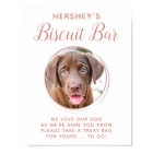 Biscuit Bar Pet Photo Rose Gold Dog Wedding Favor