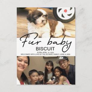 Biscuit - welcome postcard