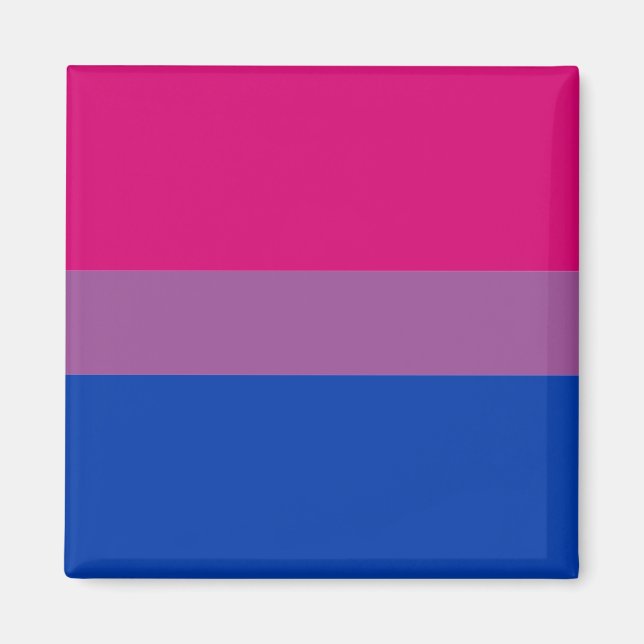 Bisexual Flag & Pride community /gender flag Magne Magnet (Front)