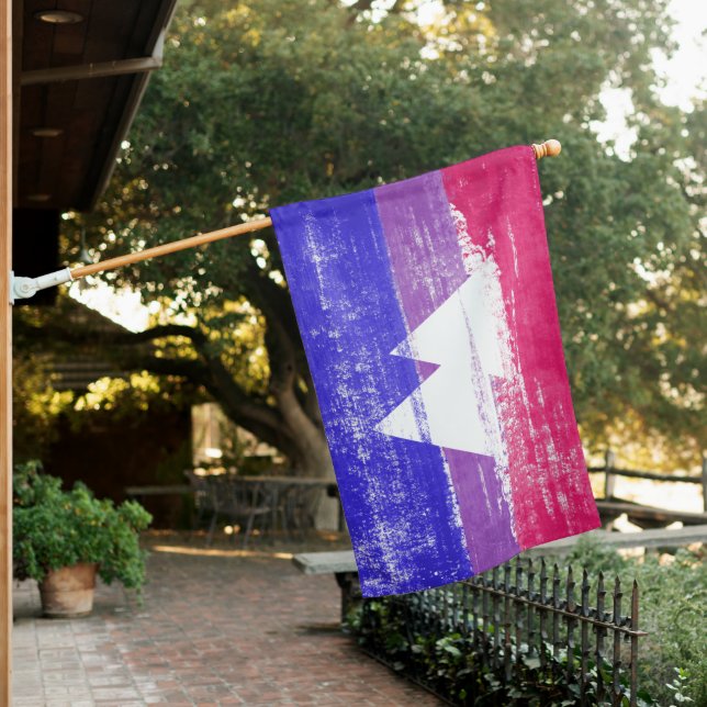 Bisexual Pride and Symbol Flag - (In SItu)