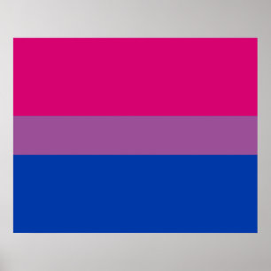 Bisexual Pride (Bi Flag) Poster