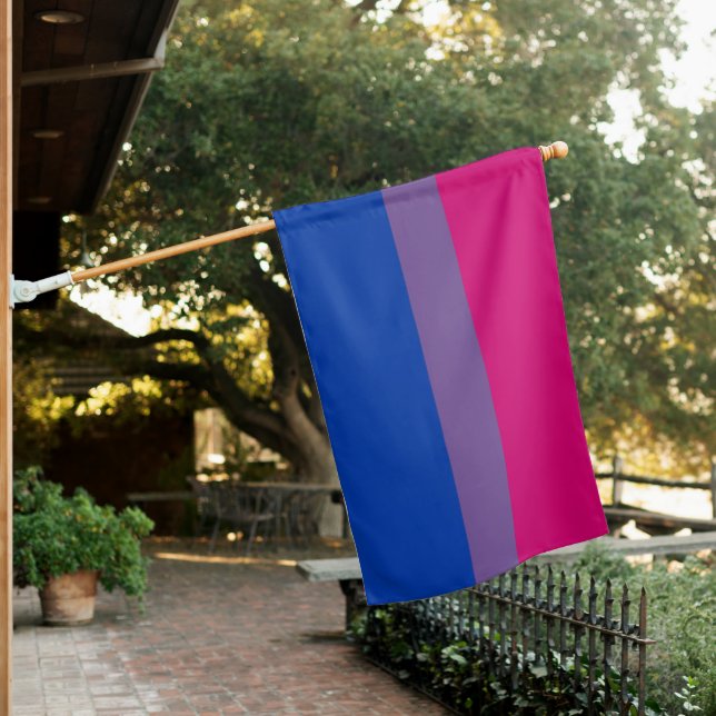 Bisexual Pride Flag (In SItu)