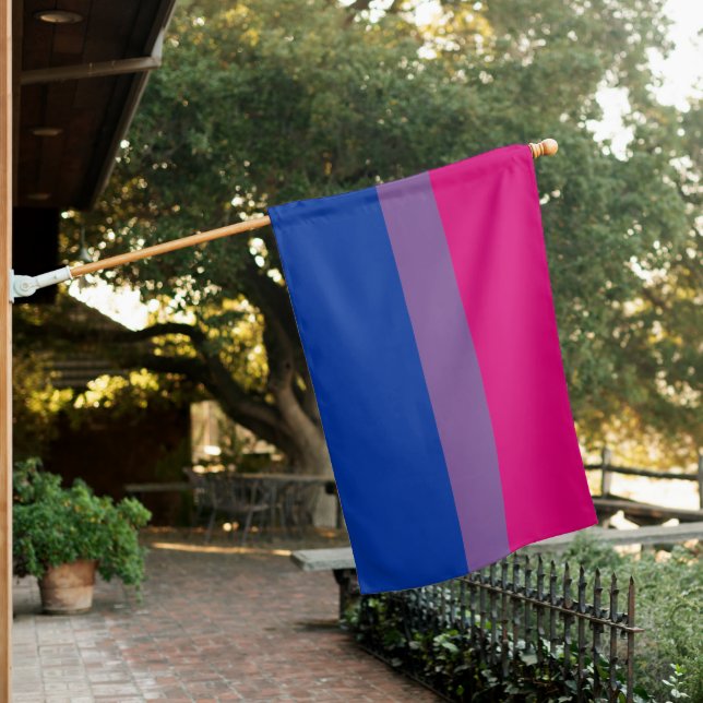 Bisexual Pride Flag (In SItu)