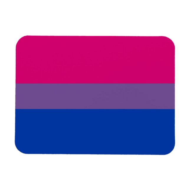 Bisexual Pride Flag Magnet (Horizontal)