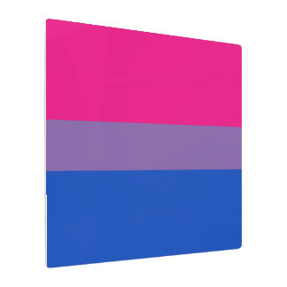 Bisexual Pride Flag Metal Print