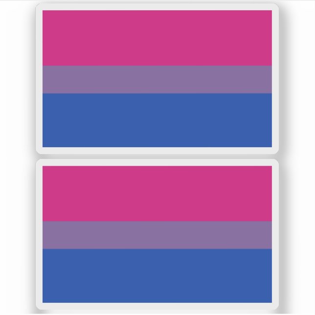 Bisexual Pride Flag Sticker (Front)
