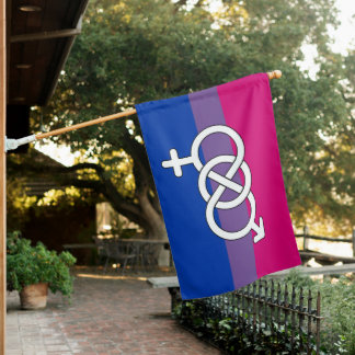 Bisexual Pride Symbol Flag