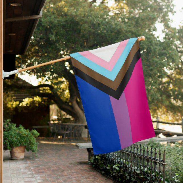 Bisexual Progress Pride Flag (In SItu)