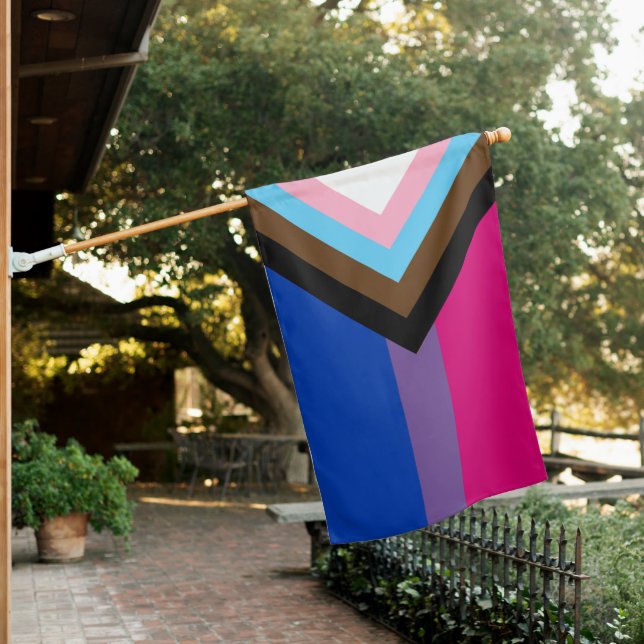 Bisexual Progress Pride Flag (In SItu)