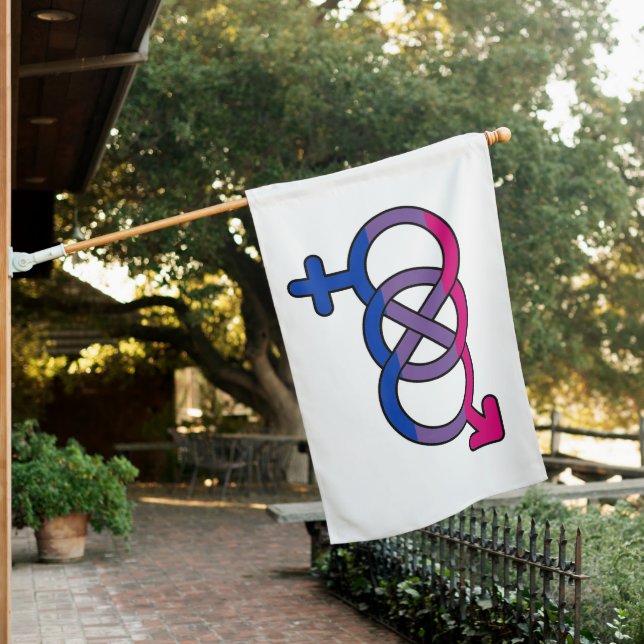 Bisexual Symbol House Flag (In SItu)