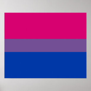 Bisexuality flag Poster