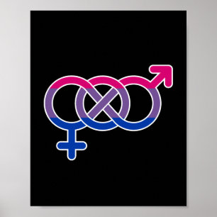 Bisexuality Gender Symbol Poster