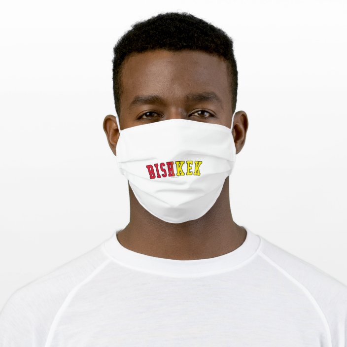 Bishkek in Kyrgyzstan National Flag Colors Face Mask