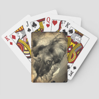 Bisky on Deck Poker Cards