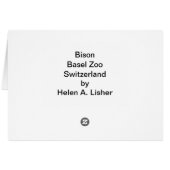 Bison (Back Horizontal)