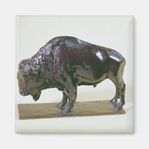 Bison, 1907 magnet
