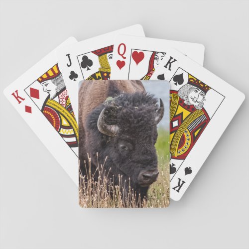Bison aka Buffalo Through a Large Lens Playing Cards