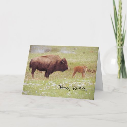 Bison and Calf in Yellowstone Birthday Card