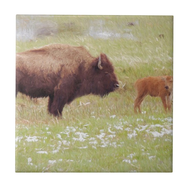 Bison and Calf in Yellowstone Ceramic Tile (Front)