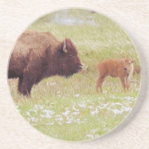 Bison and Calf in Yellowstone Coaster