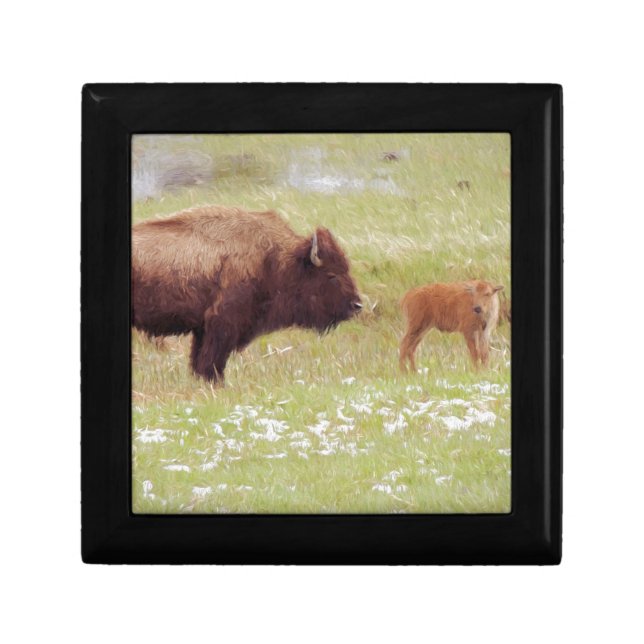 Bison and Calf in Yellowstone Gift Box (Front)
