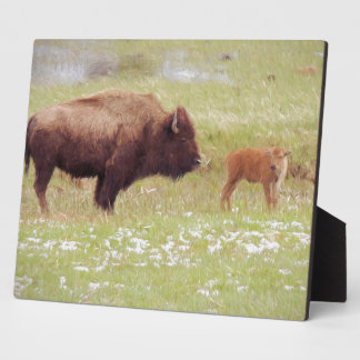 Bison and Calf in Yellowstone Plaque