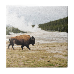 Bison and Old Faithful Ceramic Tile