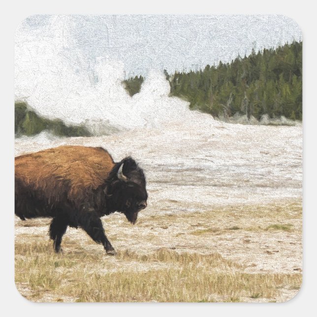 Bison and Old Faithful Square Sticker (Front)