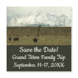 Bison at Grand Teton National Park Photography