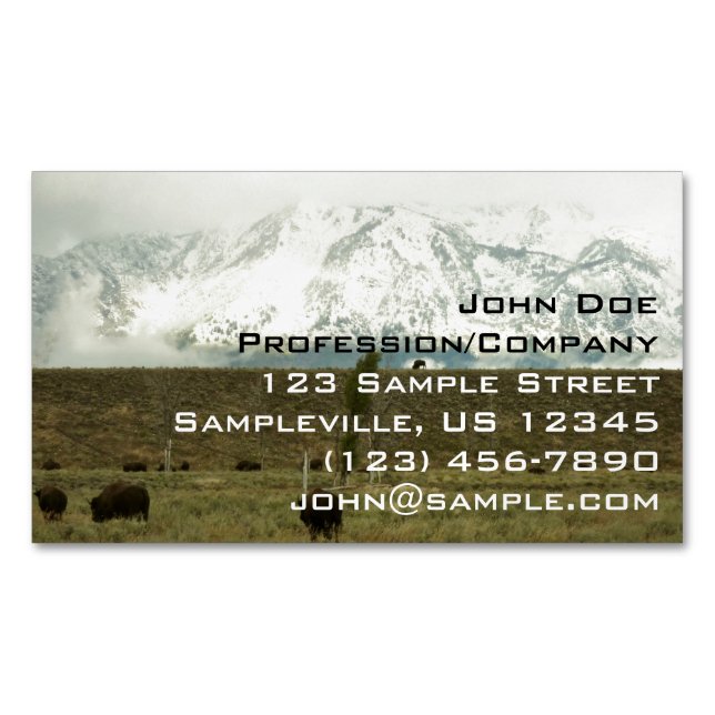 Bison at Grand Teton National Park Photography Business Card Magnet (Front)