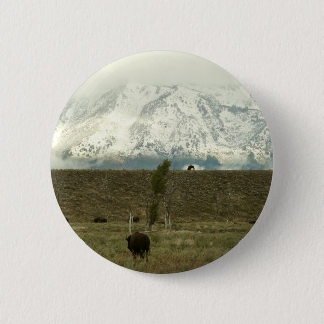 Bison at Grand Teton National Park Photography Button (Front)