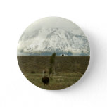 Bison at Grand Teton National Park Photography Button