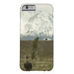 Bison at Grand Teton National Park Photography Barely There iPhone 6 Case