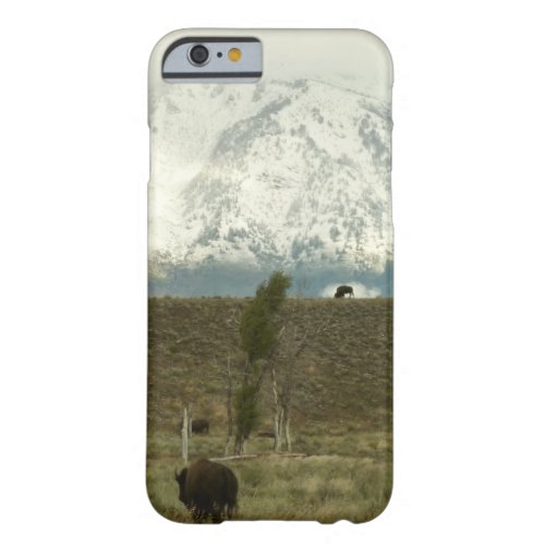 Bison at Grand Teton National Park Photography Barely There iPhone 6 Case