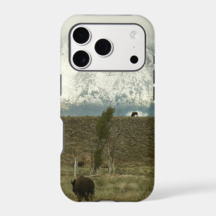 Bison at Grand Teton National Park Photography iPhone 17 Pro Case