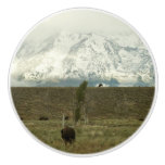 Bison at Grand Teton National Park Photography Ceramic Knob