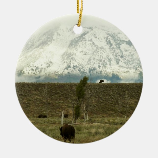 Bison at Grand Teton National Park Photography Ceramic Ornament (Front)